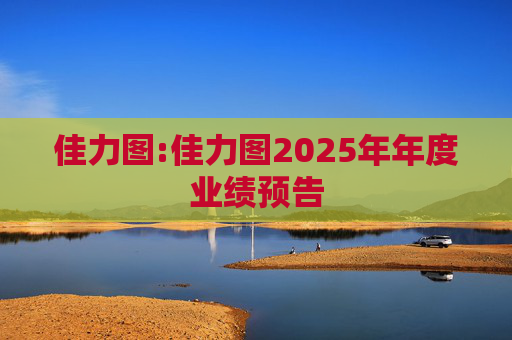 佳力图:佳力图2025年年度业绩预告