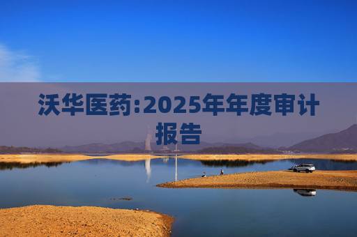 沃华医药:2025年年度审计报告