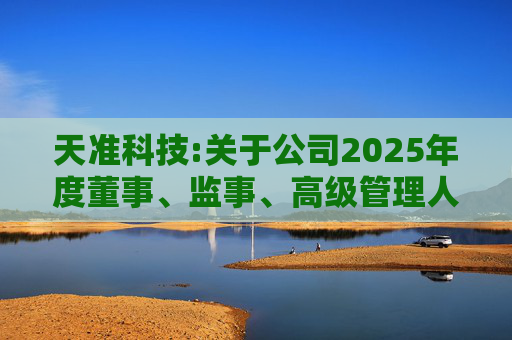 天准科技:关于公司2025年度董事、监事、高级管理人员薪酬方案的公告  第1张