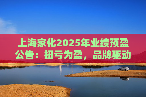 上海家化2025年业绩预盈公告:扭亏为盈,品牌驱动重回增长轨道
