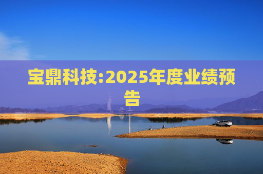 宝鼎科技:2025年度业绩预告