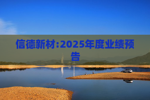 信德新材:2025年度业绩预告