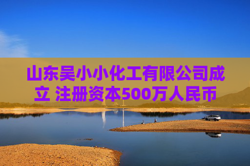 山东吴小小化工有限公司成立 注册资本500万人民币