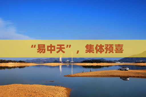 “易中天”，集体预喜