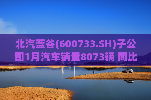 北汽蓝谷(600733.SH)子公司1月汽车销量8073辆 同比增长11.83%