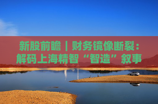 新股前瞻|财务镜像断裂:解码上海精智“智造”叙事背后的增长逻辑悖论 第1张 新股前瞻|财务镜像断裂:解码上海精智“智造”叙事背后的增长逻辑悖论 第1张