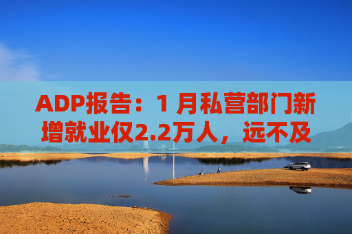 ADP报告：1 月私营部门新增就业仅2.2万人，远不及预期
