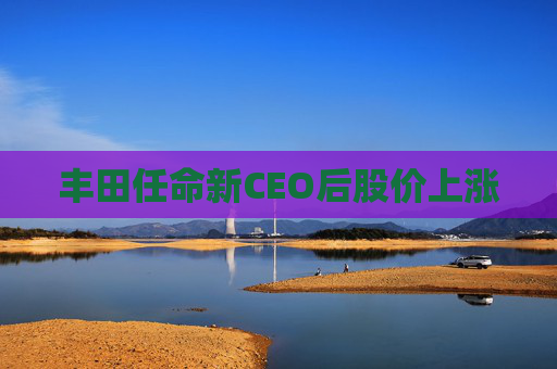 丰田任命新CEO后股价上涨