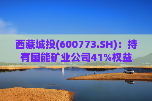 西藏城投(600773.SH)：持有国能矿业公司41%权益