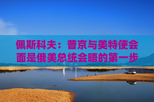 佩斯科夫：普京与美特使会面是俄美总统会晤的第一步