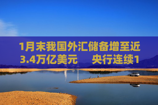 1月末我国外汇储备增至近3.4万亿美元     央行连续15个月增持黄金
