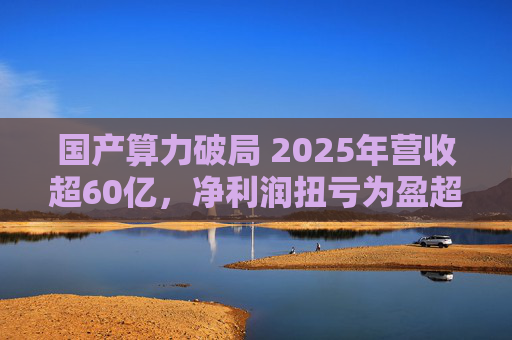 国产算力破局 2025年营收超60亿，净利润扭亏为盈超18亿