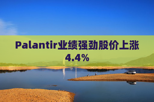 Palantir业绩强劲股价上涨4.4%