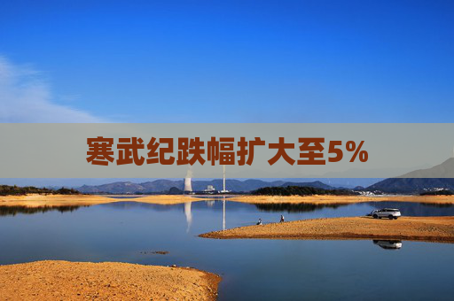 寒武纪跌幅扩大至5%