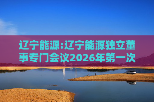 辽宁能源:辽宁能源独立董事专门会议2026年第一次会议决议