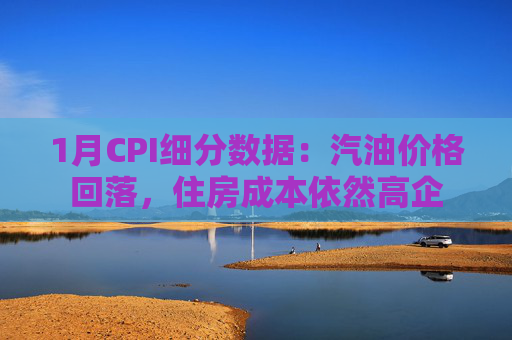 1月CPI细分数据：汽油价格回落，住房成本依然高企