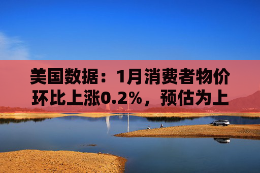 美国数据：1月消费者物价环比上涨0.2%，预估为上涨0.3%