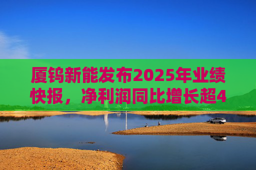厦钨新能发布2025年业绩快报，净利润同比增长超40%