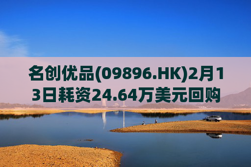 名创优品(09896.HK)2月13日耗资24.64万美元回购5.11万股