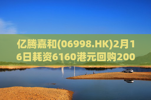 亿腾嘉和(06998.HK)2月16日耗资6160港元回购2000股