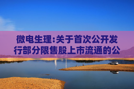 微电生理:关于首次公开发行部分限售股上市流通的公告
