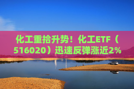 化工重拾升势！化工ETF（516020）迅速反弹涨近2%