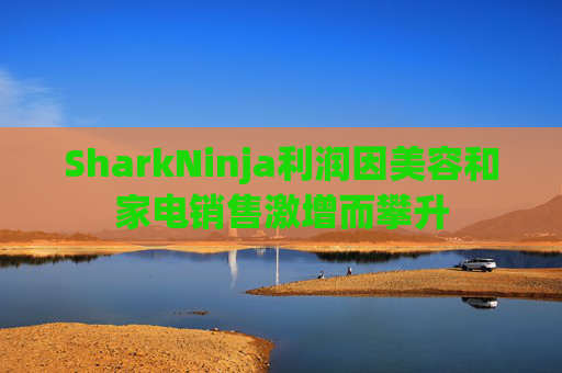 SharkNinja利润因美容和家电销售激增而攀升