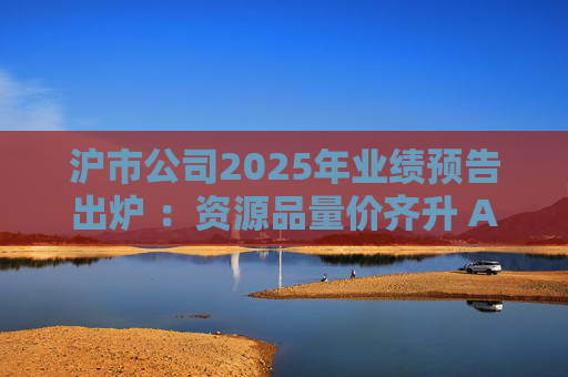 沪市公司2025年业绩预告出炉 ：资源品量价齐升 AI链景气延续