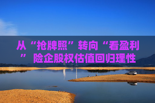从“抢牌照”转向“看盈利” 险企股权估值回归理性