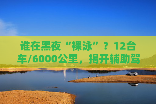 谁在黑夜“裸泳”？12台车/6000公里，揭开辅助驾驶的夜盲真相