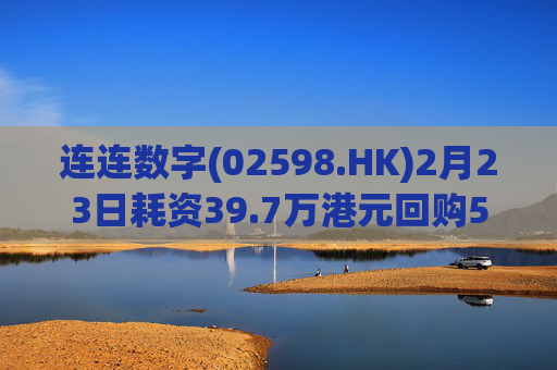 连连数字(02598.HK)2月23日耗资39.7万港元回购5.3万股  第1张