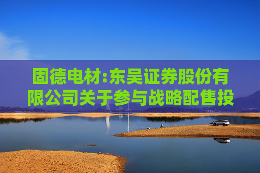 固德电材:东吴证券股份有限公司关于参与战略配售投资者的专项核查报告