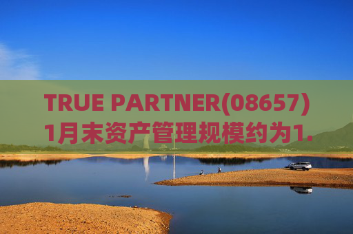 TRUE PARTNER(08657)1月末资产管理规模约为1.71亿美元  第1张