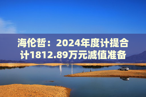 海伦哲：2024年度计提合计1812.89万元减值准备