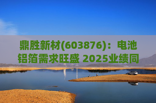 鼎胜新材(603876)：电池铝箔需求旺盛 2025业绩同比高增