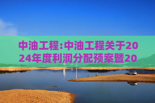 中油工程:中油工程关于2024年度利润分配预案暨2025年中期现金分红有关事项授权的公告  第1张