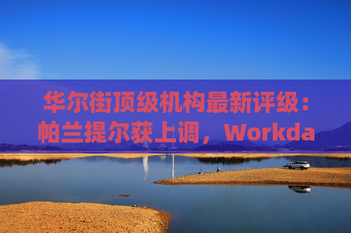 华尔街顶级机构最新评级：帕兰提尔获上调，Workday遭下调