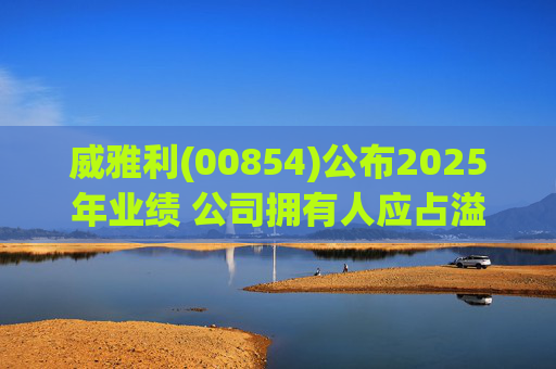 威雅利(00854)公布2025年业绩 公司拥有人应占溢利5095.8万港元  第1张