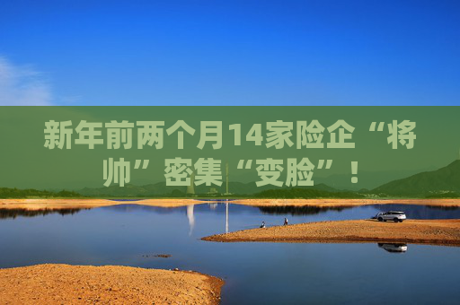 新年前两个月14家险企“将帅”密集“变脸”! 第1张 新年前两个月14家险企“将帅”密集“变脸”! 第1张