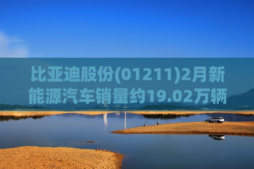 比亚迪股份(01211)2月新能源汽车销量约19.02万辆  第1张