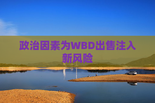 政治因素为WBD出售注入新风险