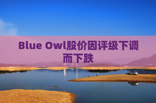 Blue Owl股价因评级下调而下跌 第1张 Blue Owl股价因评级下调而下跌 第1张