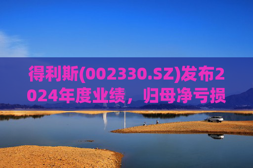 得利斯(002330.SZ)发布2024年度业绩，归母净亏损3367万元  第1张