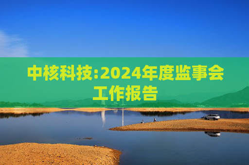 中核科技:2024年度监事会工作报告