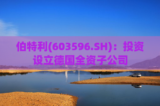 伯特利(603596.SH)：投资设立德国全资子公司