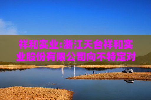祥和实业:浙江天台祥和实业股份有限公司向不特定对象发行可转换公司债券发行公告