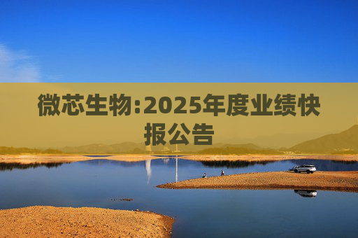 微芯生物:2025年度业绩快报公告