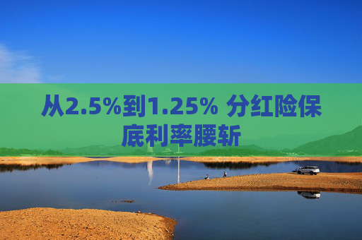 从2.5%到1.25% 分红险保底利率腰斩