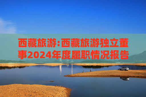 西藏旅游:西藏旅游独立董事2024年度履职情况报告（高金波）