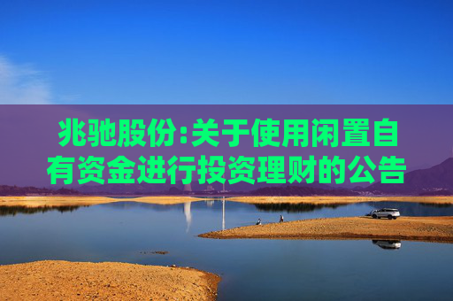 兆驰股份:关于使用闲置自有资金进行投资理财的公告